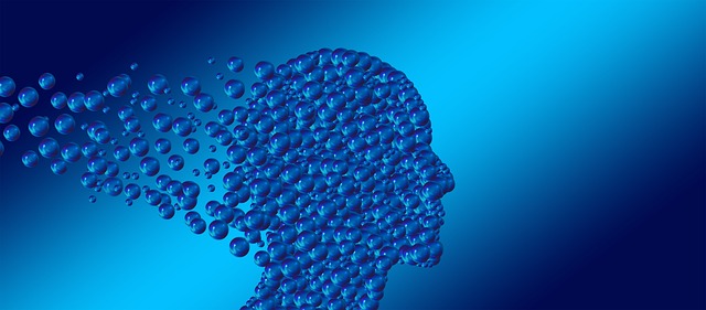 Unlocking Insights: The Theory-Data Cycle Unveiling the Secrets of Success